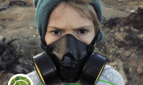 Jak zmienić ogrzewanie na ekologiczne?